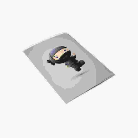 Brain Damage Studies