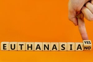 Buying Pentobarbital Online in Europe: A Comprehensive Guide for 2026