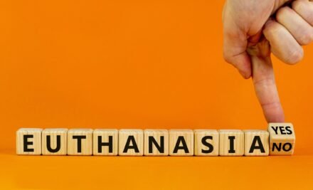 Buying Pentobarbital Online in Europe: A Comprehensive Guide for 2026