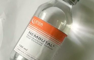 Nembutal Liquid