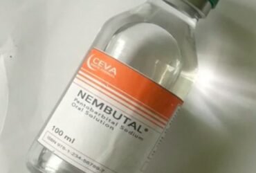 Nembutal Liquid