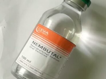Nembutal Liquid